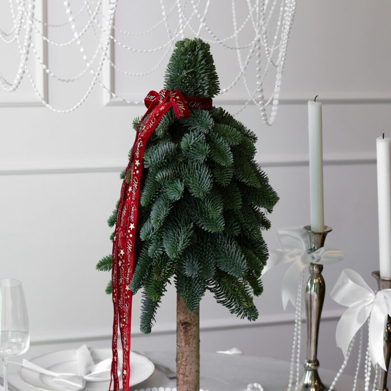 Choinka z żywego nobilisa na pniu – Studio Deluxe