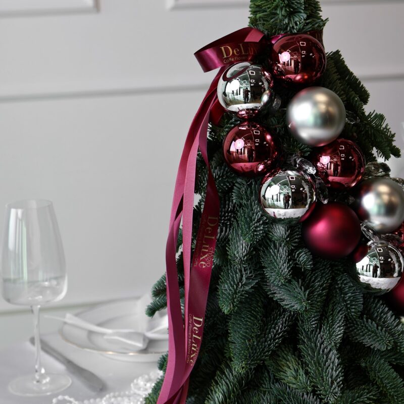 Choinka z żywego nobilisa – Studio Deluxe