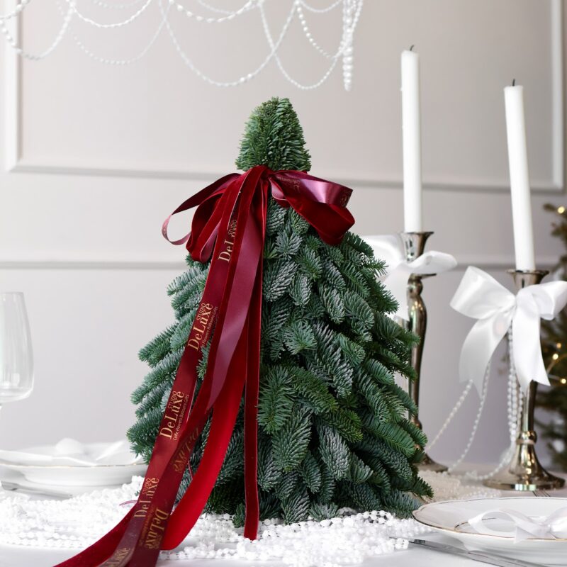 Choinka z żywego nobilisa z wstążką – Studio Deluxe