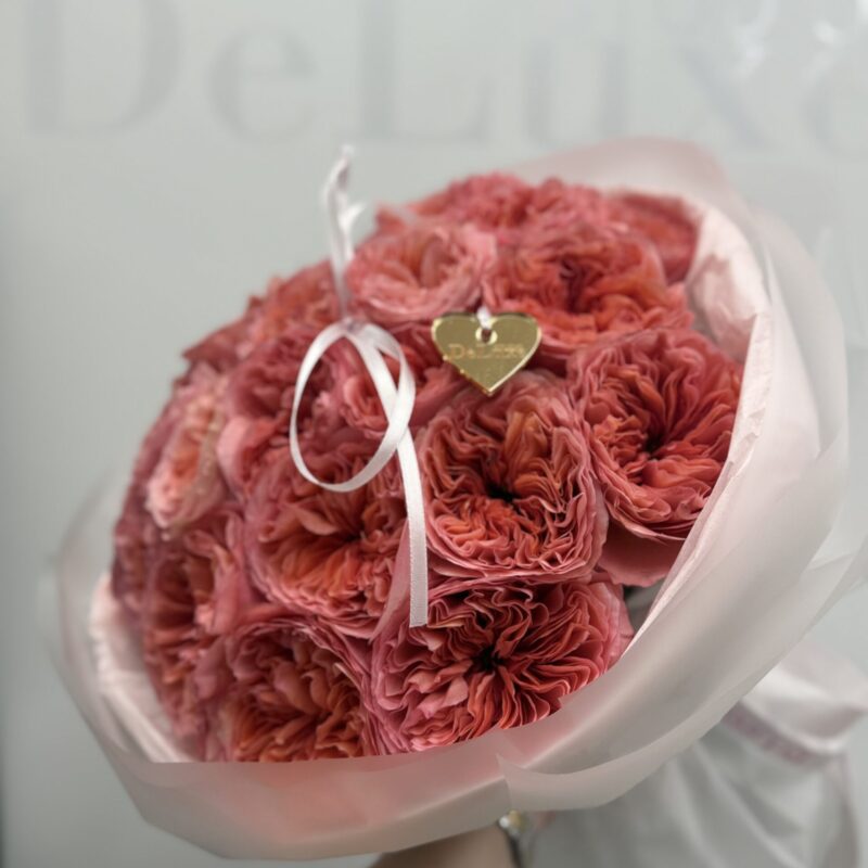 Piwoniowa róża Candy X-Pression 25 szt – Studio Deluxe