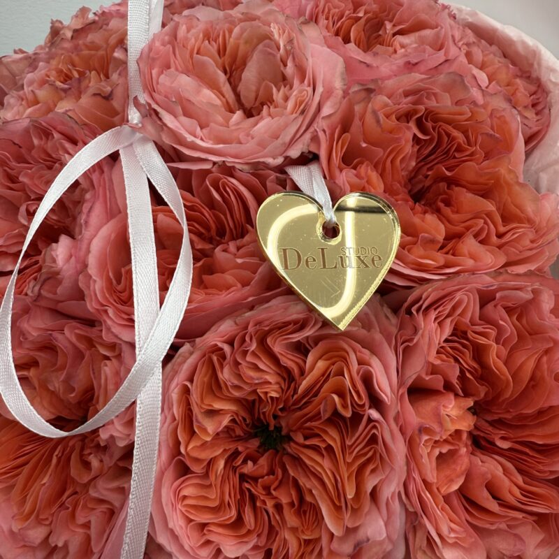 Piwoniowa róża Candy X-Pression 25 szt