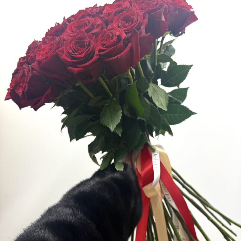 Czerwona róża 1 metr 35 szt – Studio Deluxe