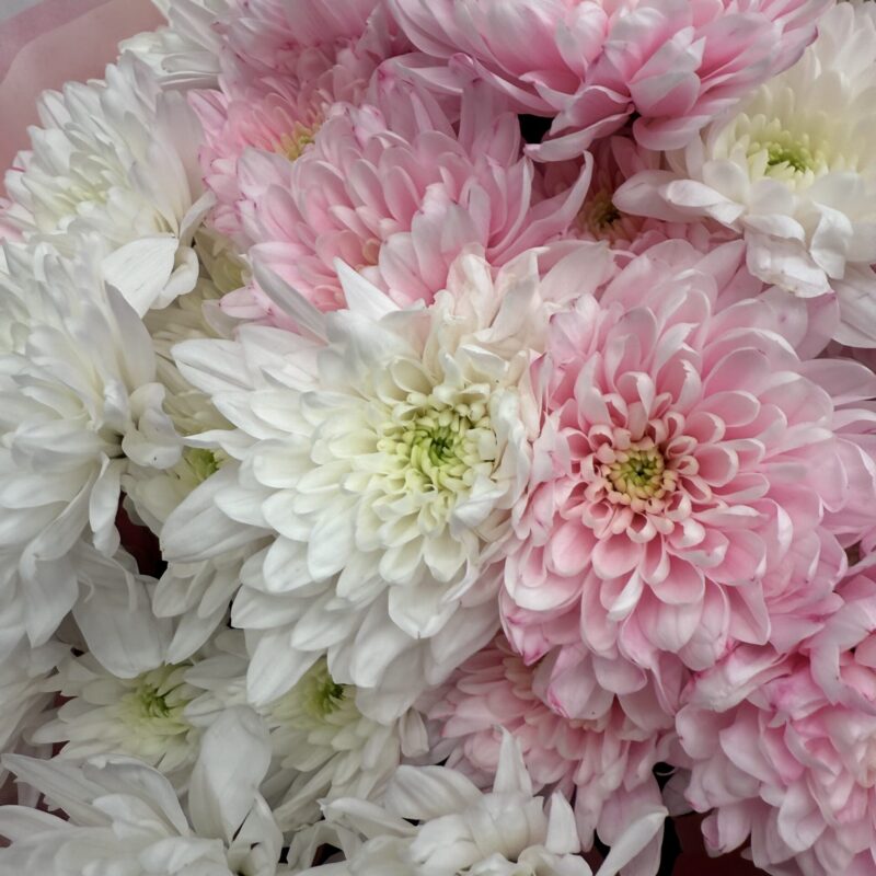 Bukiet z chryzantem gałązkowych – Studio Deluxe