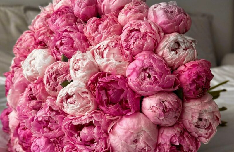 WhatsApp Image 2025 12 16 at 13.40.15