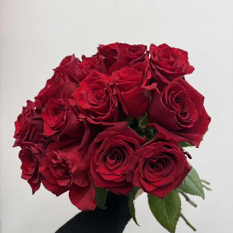 Czerwone róże z możliwością wyboru ilości – Studio Deluxe