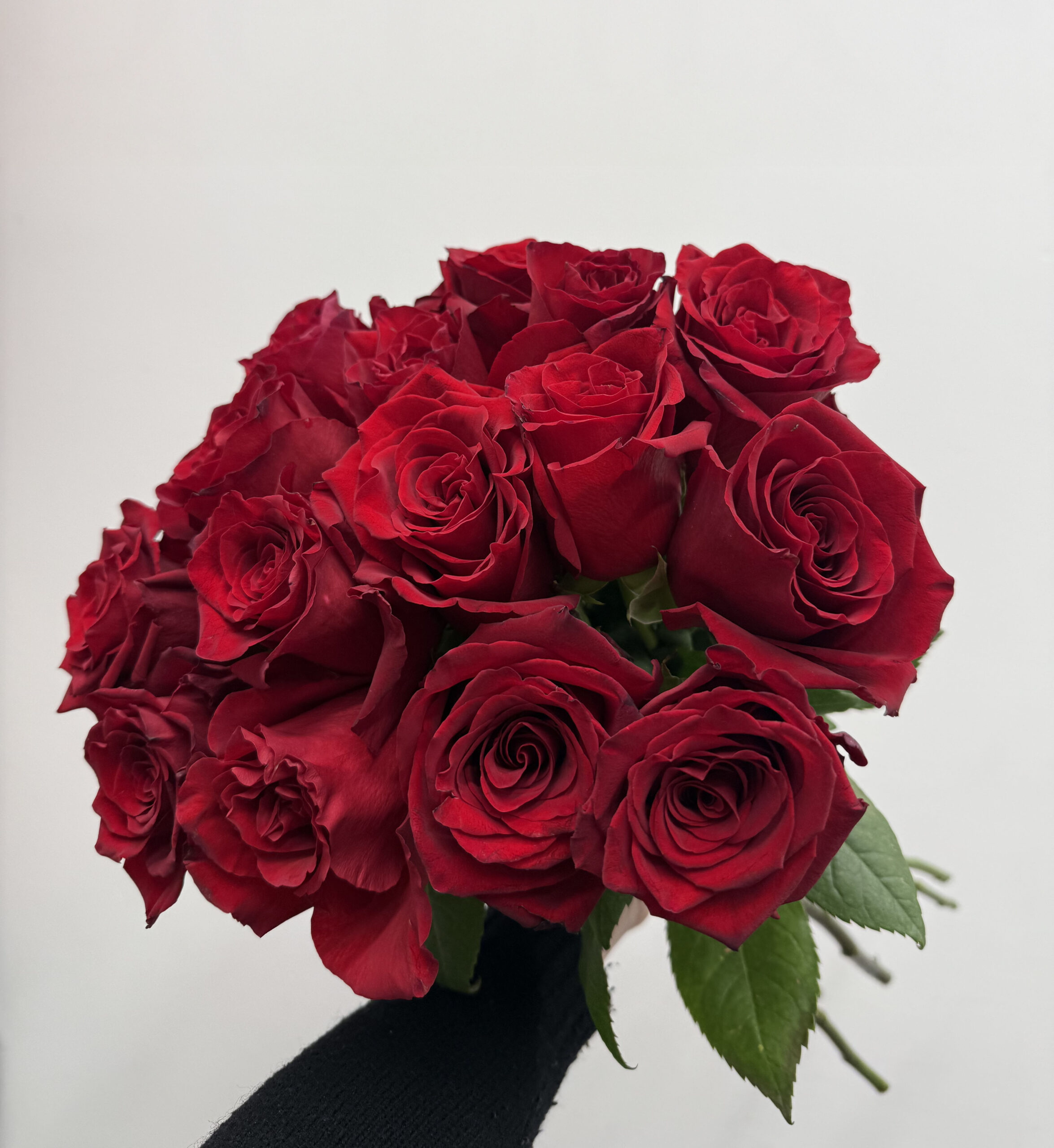 2026-01-08 Czerwone róże z możliwością wyboru ilości – Studio Deluxe