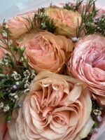 Monobukiet z brzoskwiniowych róż ogrodowych Studio Deluxe