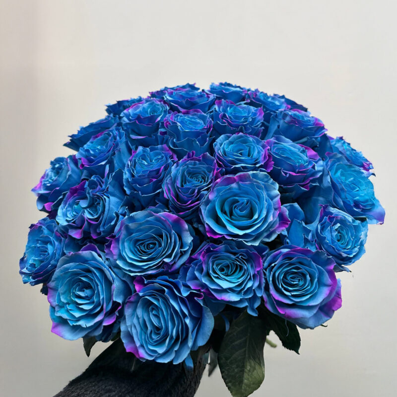 Bukiet z 29 niebieskich róż w eleganckim opakowaniu Studio Deluxe