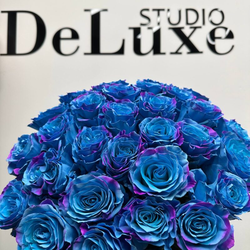 Bukiet z 29 niebieskich róż w eleganckim opakowaniu Studio Deluxe
