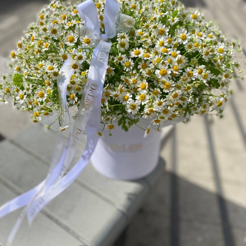 Flowerbox z rumiankiem w białym pudełku – Studio Deluxe