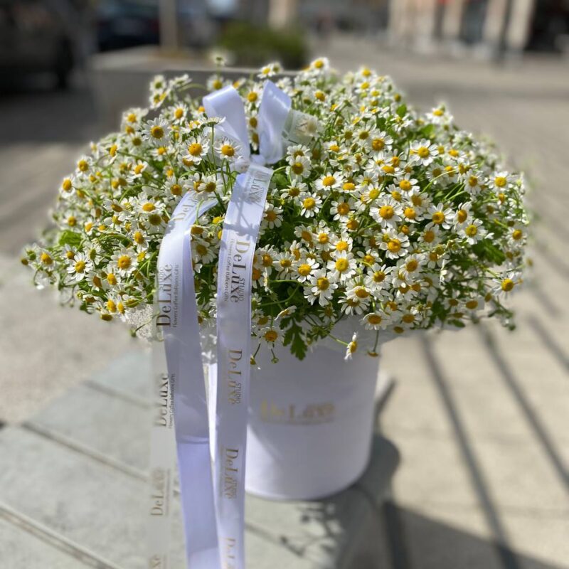 Flowerbox z rumiankiem w białym pudełku – Studio Deluxe