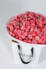 Gałązkowa róża Madam Bombastik Studio Deluxe