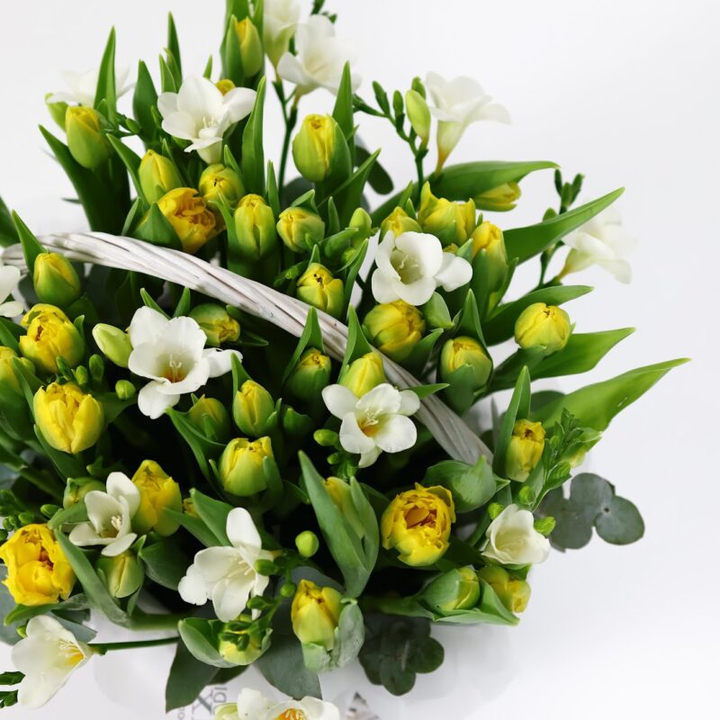 Kosz tulipanów z frezją – kwiaty z dostawą Poznań | Studio Deluxe