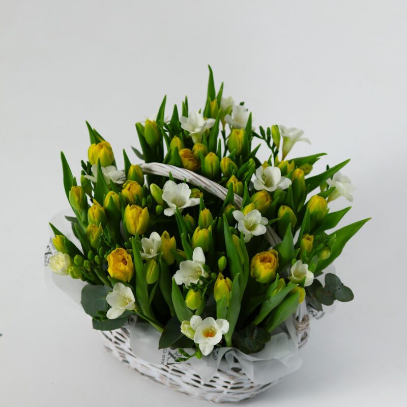 Kosz tulipanów z frezją – kwiaty z dostawą Poznań | Studio Deluxe