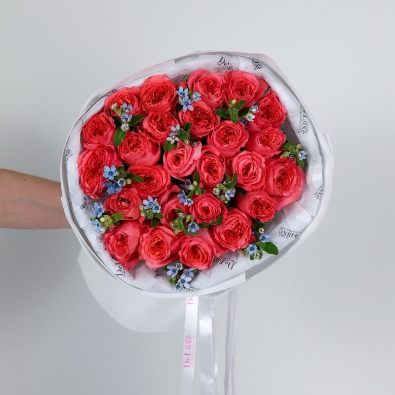 Bukiet z piwoniowej róży i oxipetalum – elegancka kompozycja Studio Deluxe Poznań