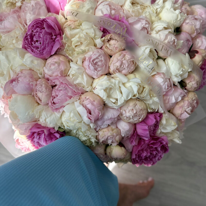 Piwonie – miks kolorów 101 szt Studio DeLuxe Poznan