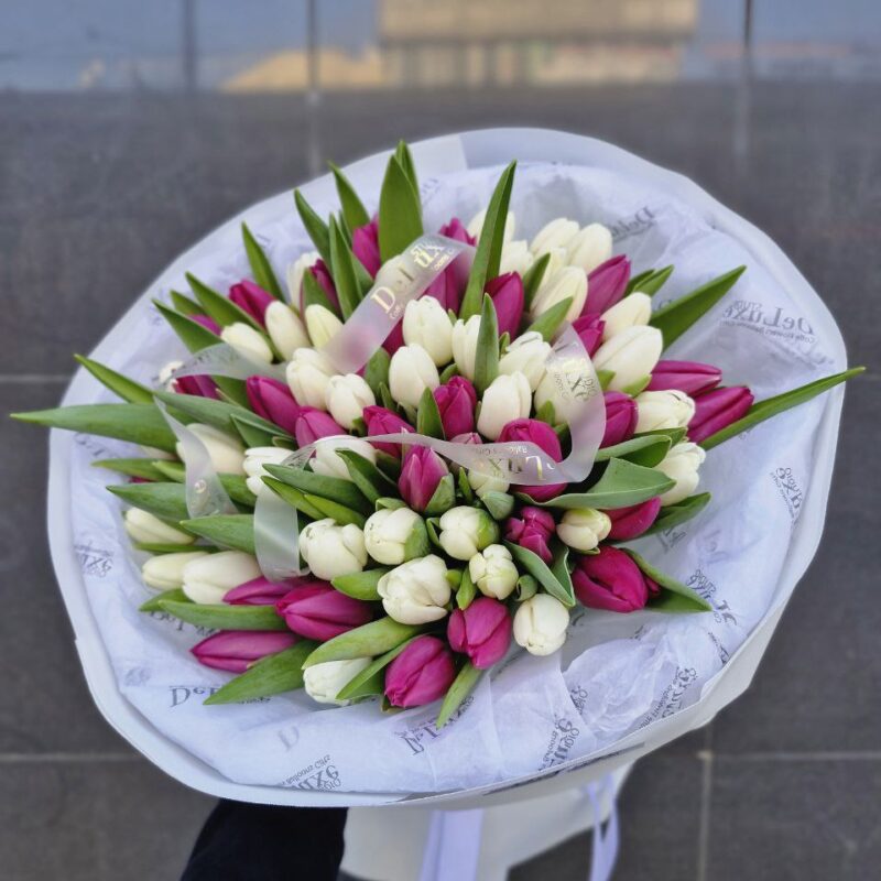 Tulipany kolorowe 75 szt