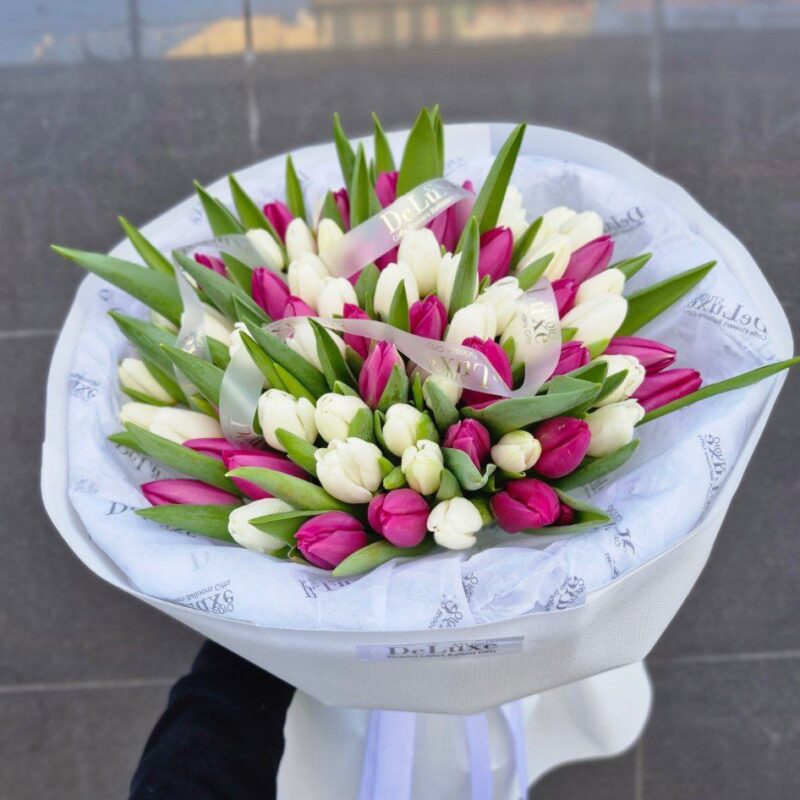 Tulipany kolorowe 75 szt