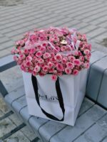 Róża gałązkowa 51 szt w zestawie z torebką transportową Studio Deluxe