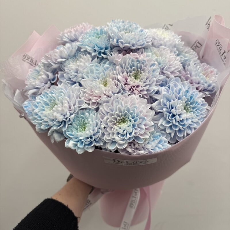 Chryzantema gałązkowa pastelowa – błękitno-różowy bukiet Studio Deluxe