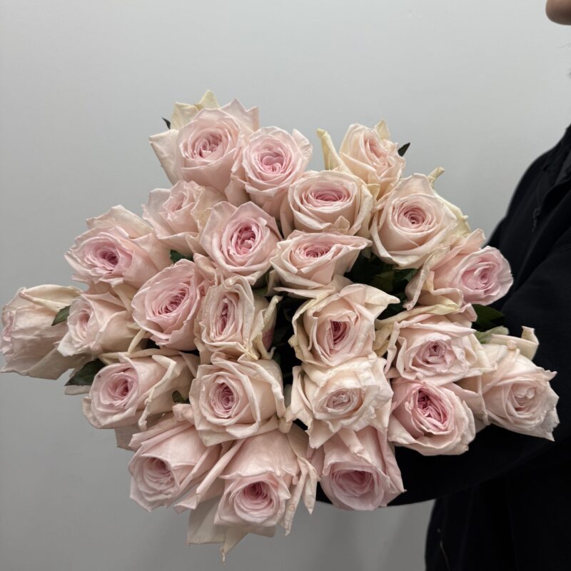 Róża Pink O’Hara 60 cm w pudrowym różu – Studio Deluxe