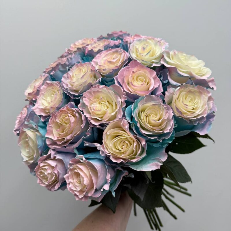 Niebieska róża „Bubblegame”