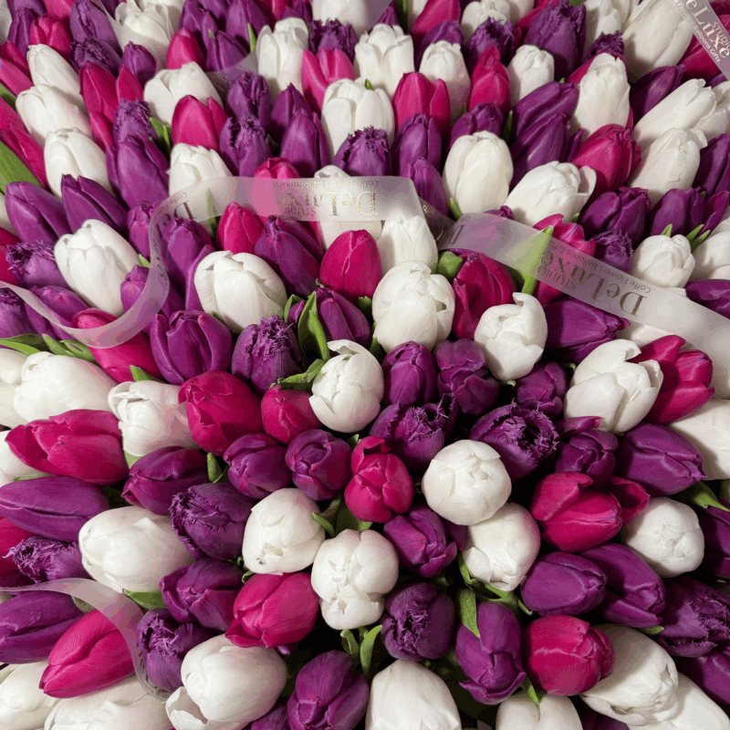 501 tulipanów w koszu w odcieniach bieli, różu i fioletu – Studio Deluxe Poznań