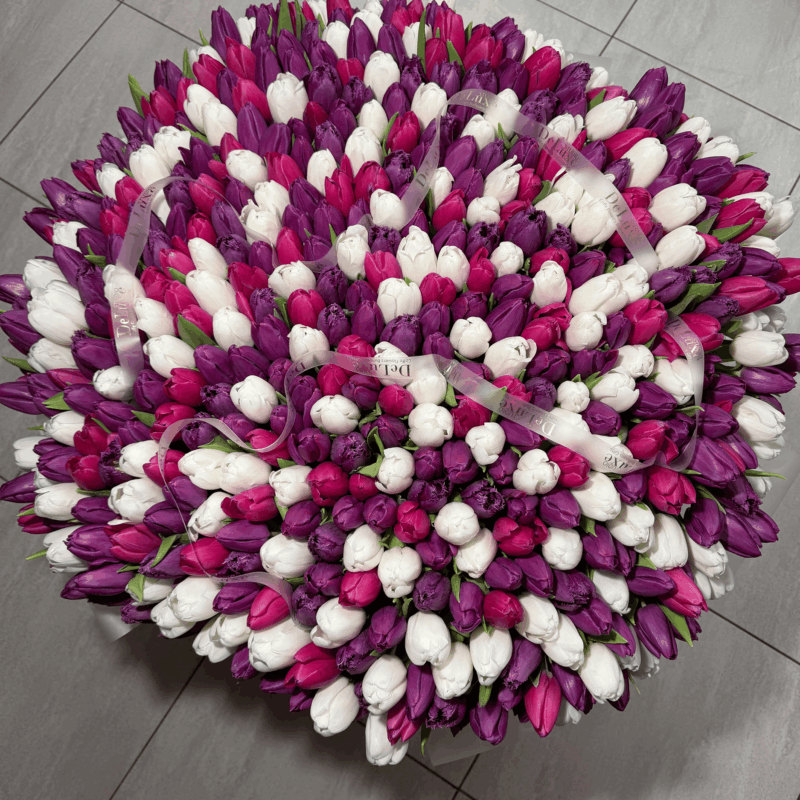 501 tulipanów w koszu w odcieniach bieli, różu i fioletu – Studio Deluxe Poznań