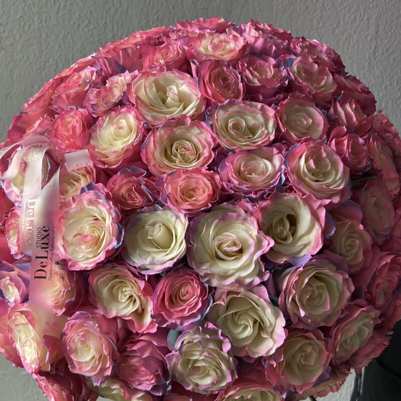 Bukiet 101 kolorowych róż