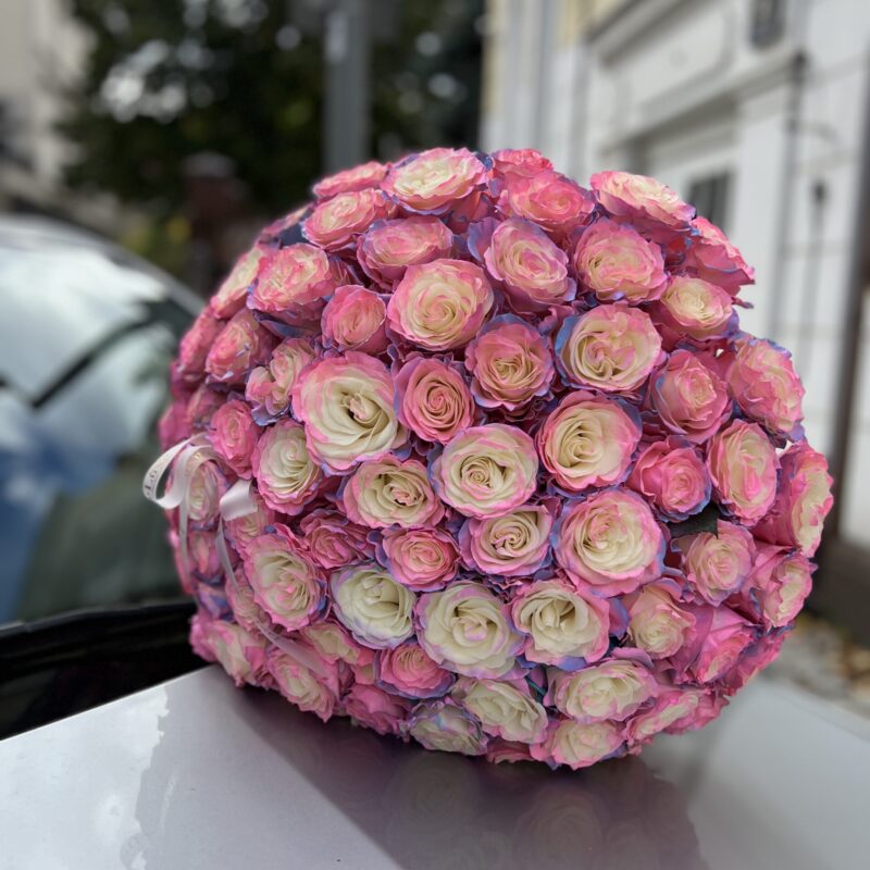 Bukiet 101 kolorowych róż Poznan