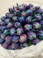 Kosmiczne tulipany - obrazek 2