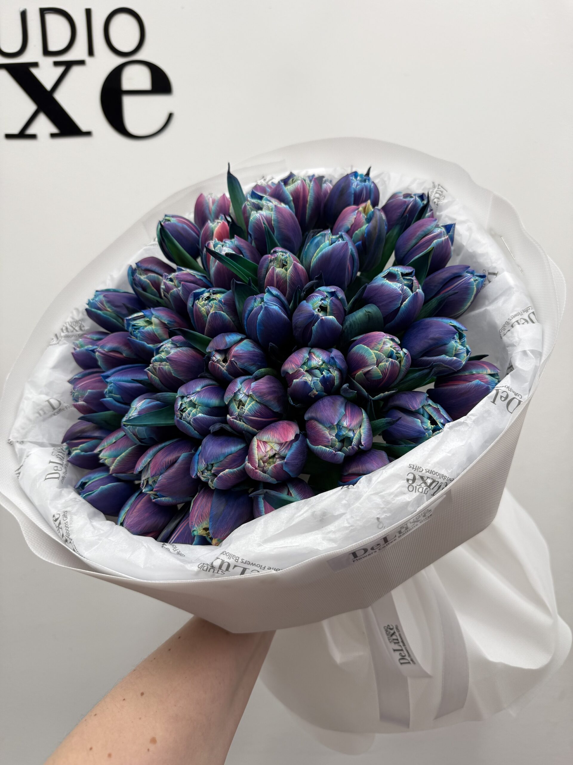 img_8144 Kosmiczne tulipany