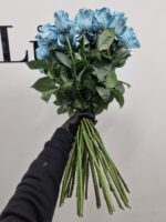 Róża Niebieska – turkusowo-błękitne róże Studio Deluxe