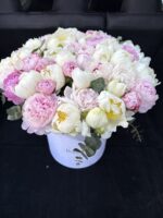 51 piwonii w pudełku flowerbox różowe i białe piwonie Studio Deluxe