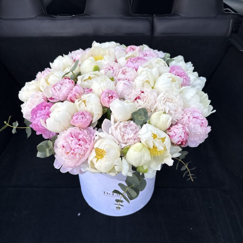 51 piwonii w pudełku flowerbox różowe i białe piwonie Studio Deluxe