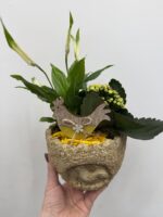 wielkanocna kompozycja z roślinami zielona dekoracja w osłonce Studio Deluxe