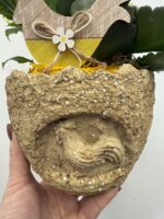 wielkanocna kompozycja z roślinami zielona dekoracja w osłonce Studio Deluxe