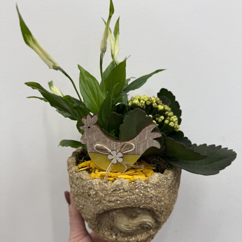 wielkanocna kompozycja z roślinami zielona dekoracja w osłonce Studio Deluxe