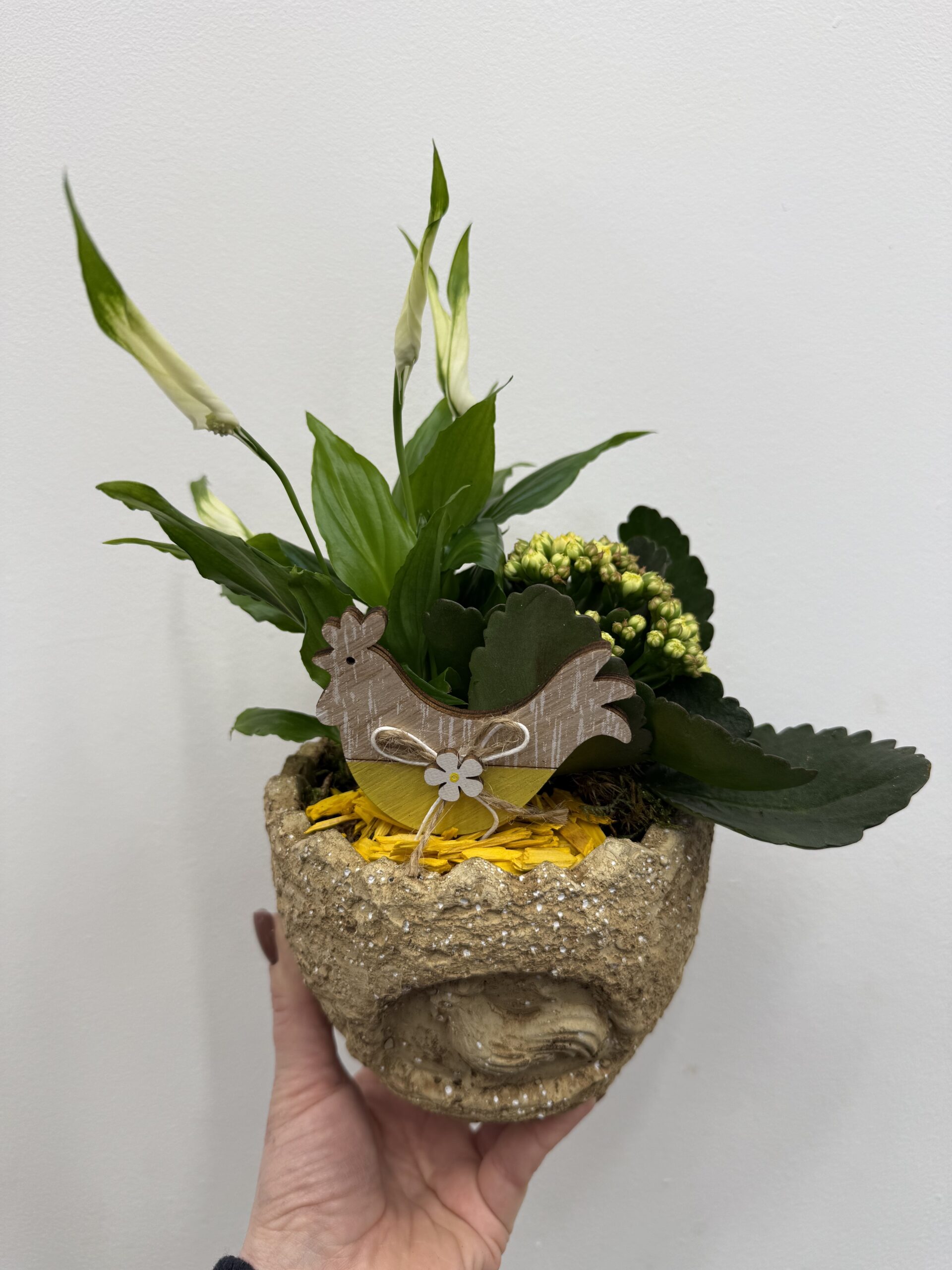 IMG_8910 wielkanocna kompozycja z roślinami zielona dekoracja w osłonce Studio Deluxe