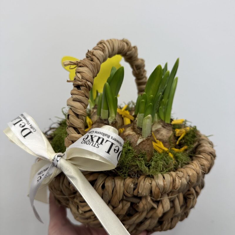 wielkanocny koszyczek z roślinami cebulowymi zielona dekoracja Studio Deluxe