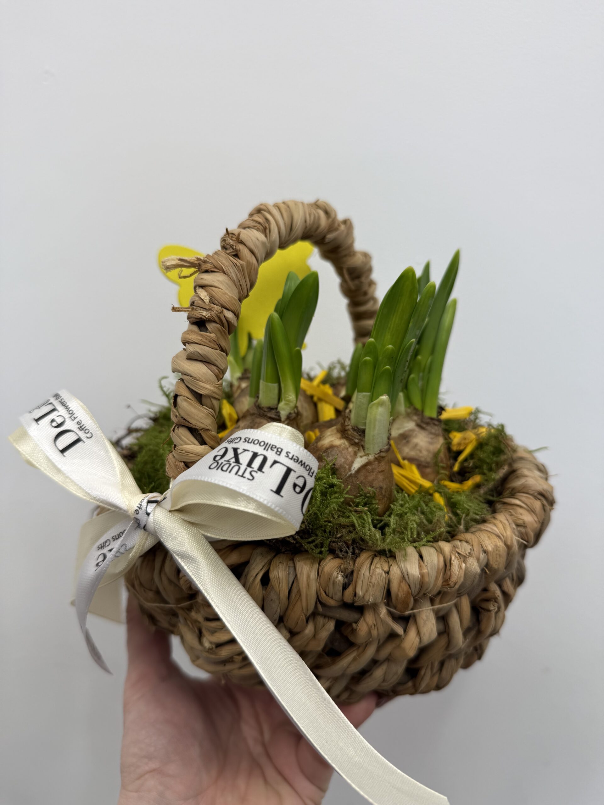 IMG_8912 wielkanocny koszyczek z roślinami cebulowymi zielona dekoracja Studio Deluxe