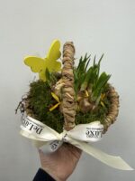 wielkanocny koszyczek z roślinami cebulowymi zielona dekoracja Studio Deluxe