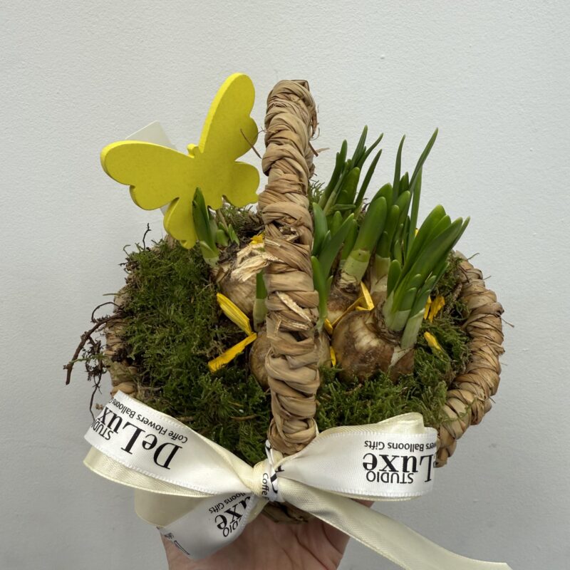 wielkanocny koszyczek z roślinami cebulowymi zielona dekoracja Studio Deluxe