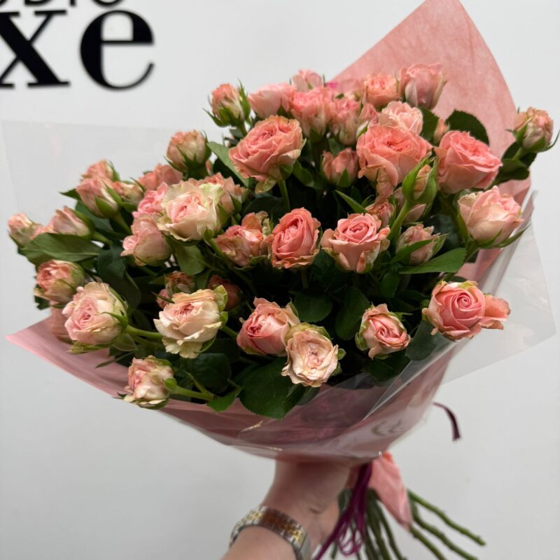 Róża gałązkowa pudrowa – Studio Deluxe Poznań