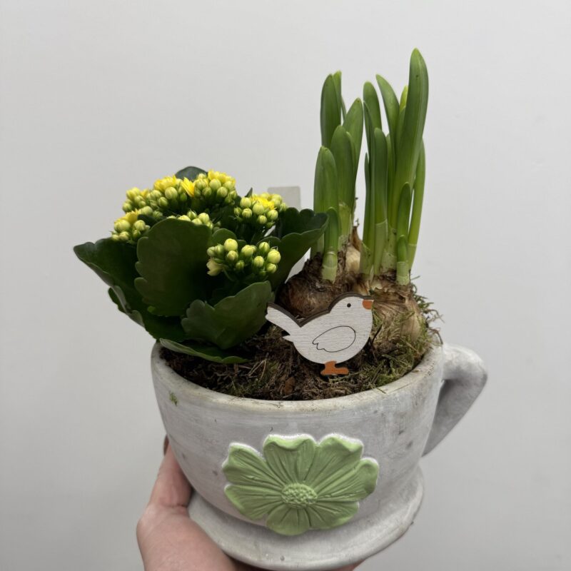 Kompozycja wielkanocna z roślinami w doniczce