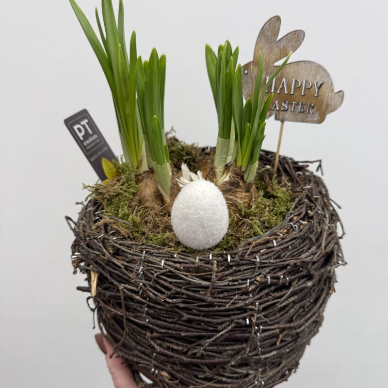 Kompozycja wielkanocna z żonkilami w koszyku