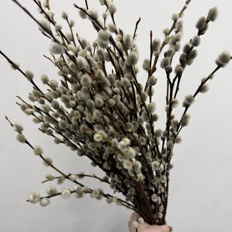 gałązki wierzby dekoracyjne naturalny dodatek florystyczny Studio Deluxe