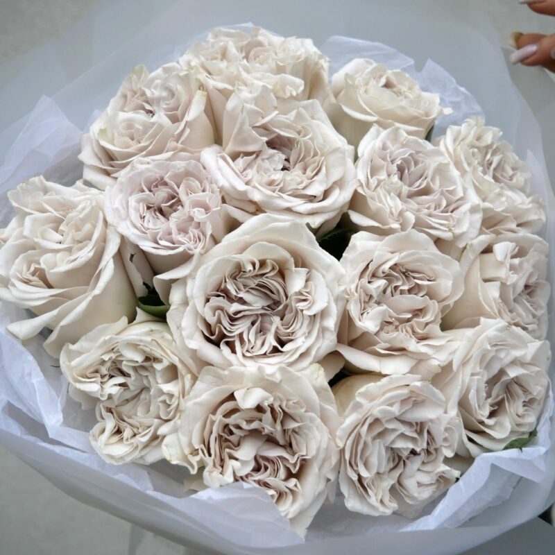 Bukiet róż Westminster Abbey eleganckie róże premium Studio Deluxe