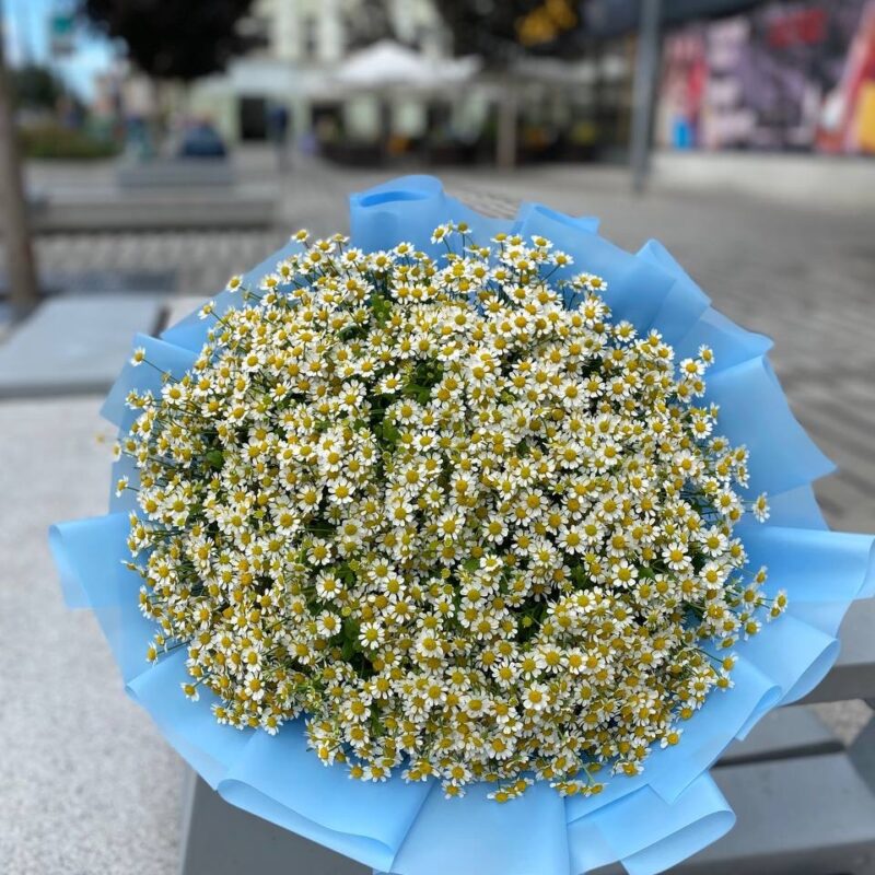 Bukiet rumiankowy | Naturalny bukiet kwiatów Poznań