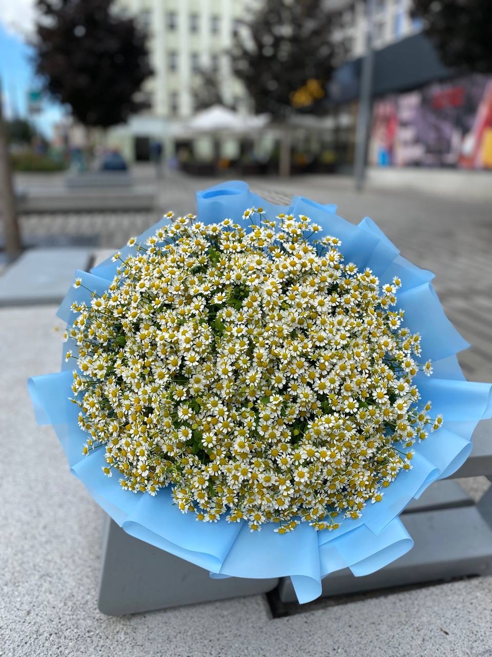 img_6605 Bukiet rumiankowy | Naturalny bukiet kwiatów Poznań